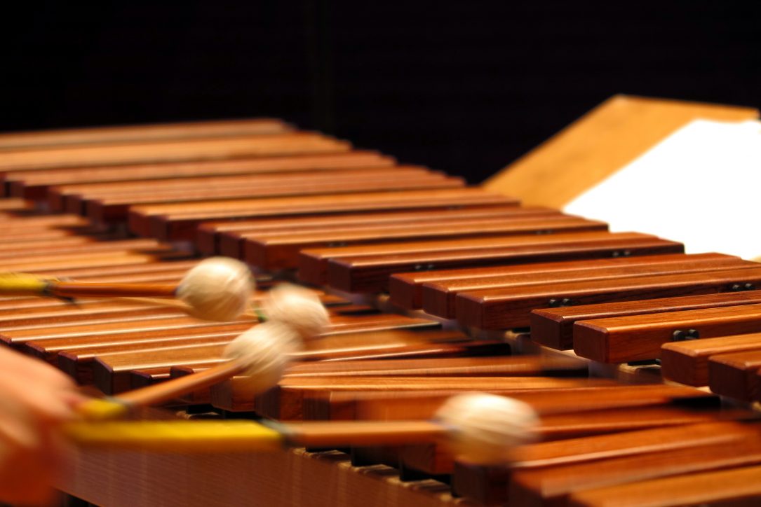 Evelyn Glennie Playing Marimba (7) at BBC Proms Chamber Music 4, Monday 10 November 2015, Cadogan Hall