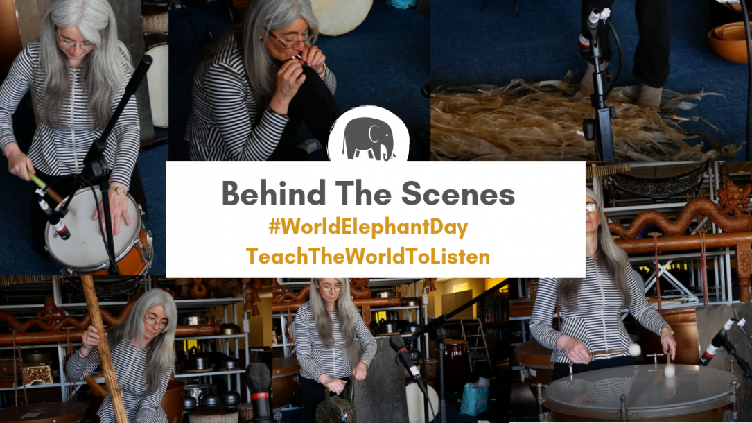 World Elephant Day Behind The Scenes